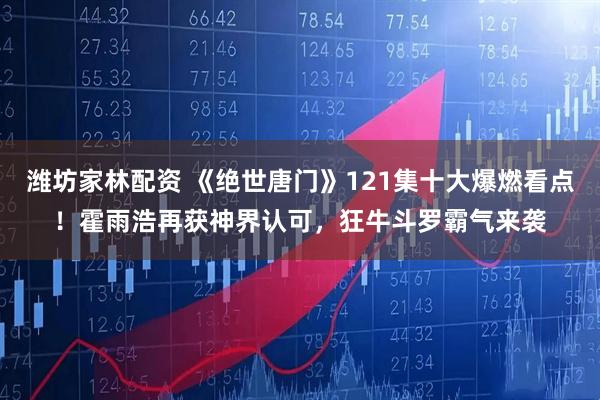 潍坊家林配资 《绝世唐门》121集十大爆燃看点！霍雨浩再获神界认可，狂牛斗罗霸气来袭