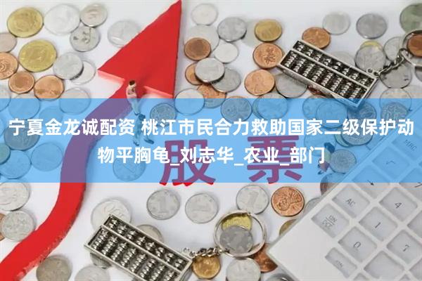 宁夏金龙诚配资 桃江市民合力救助国家二级保护动物平胸龟_刘志华_农业_部门