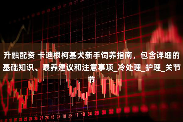 升融配资 卡迪根柯基犬新手饲养指南，包含详细的基础知识、喂养建议和注意事项_冷处理_护理_关节