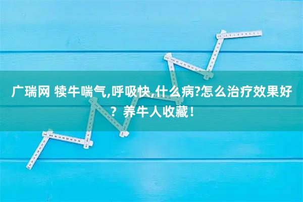 广瑞网 犊牛喘气,呼吸快,什么病?怎么治疗效果好？养牛人收藏！